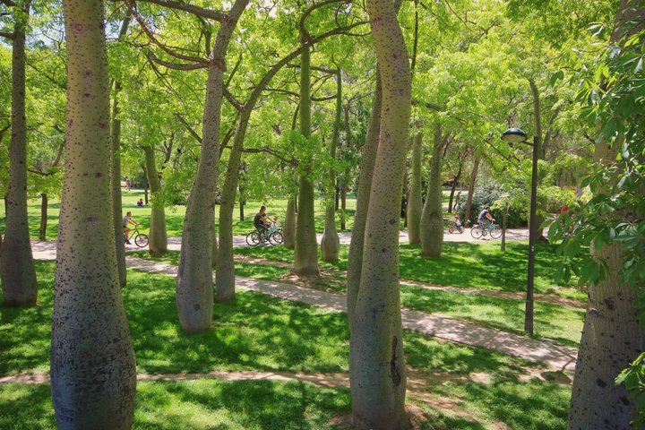 JARDINES DEL TURIA