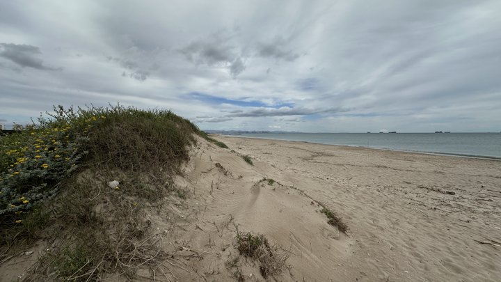 Google Drive Photo