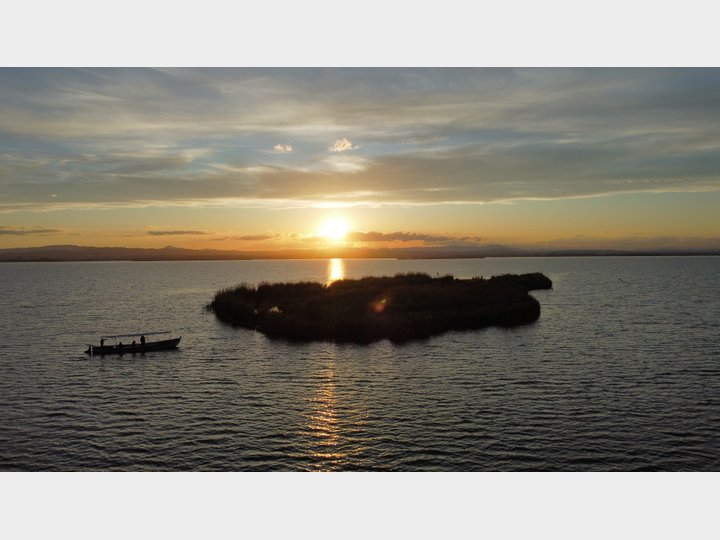 Google Drive Photo