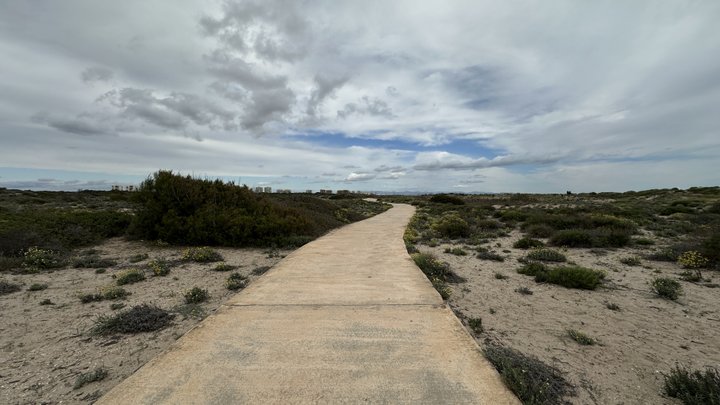 Google Drive Photo
