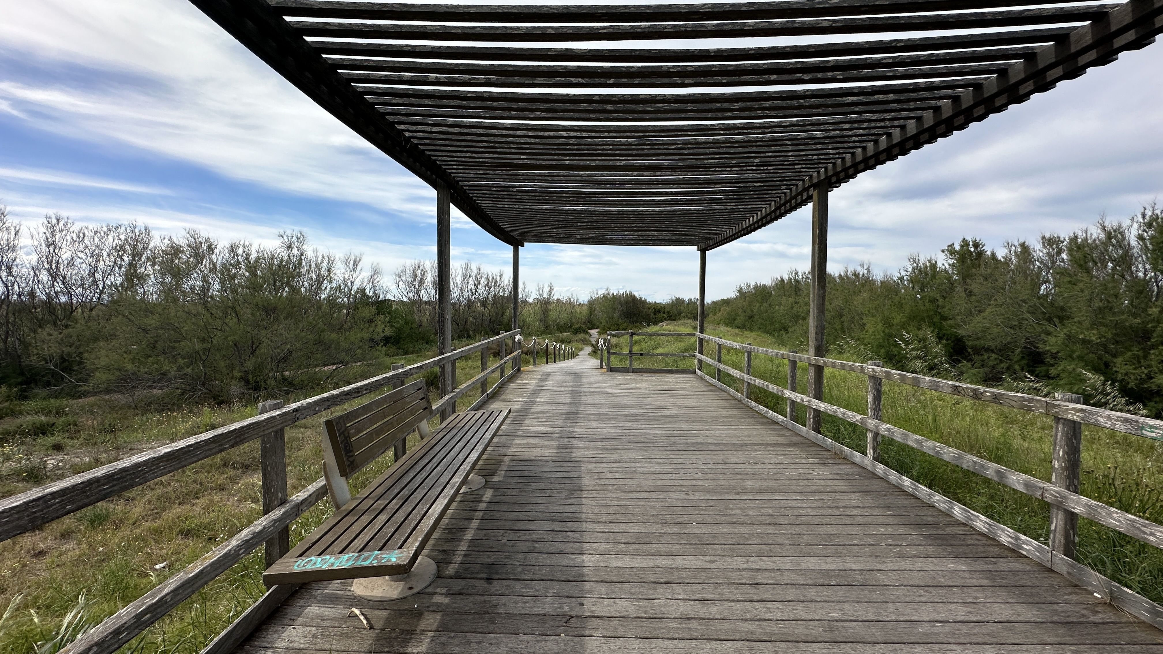 Google Drive Photo