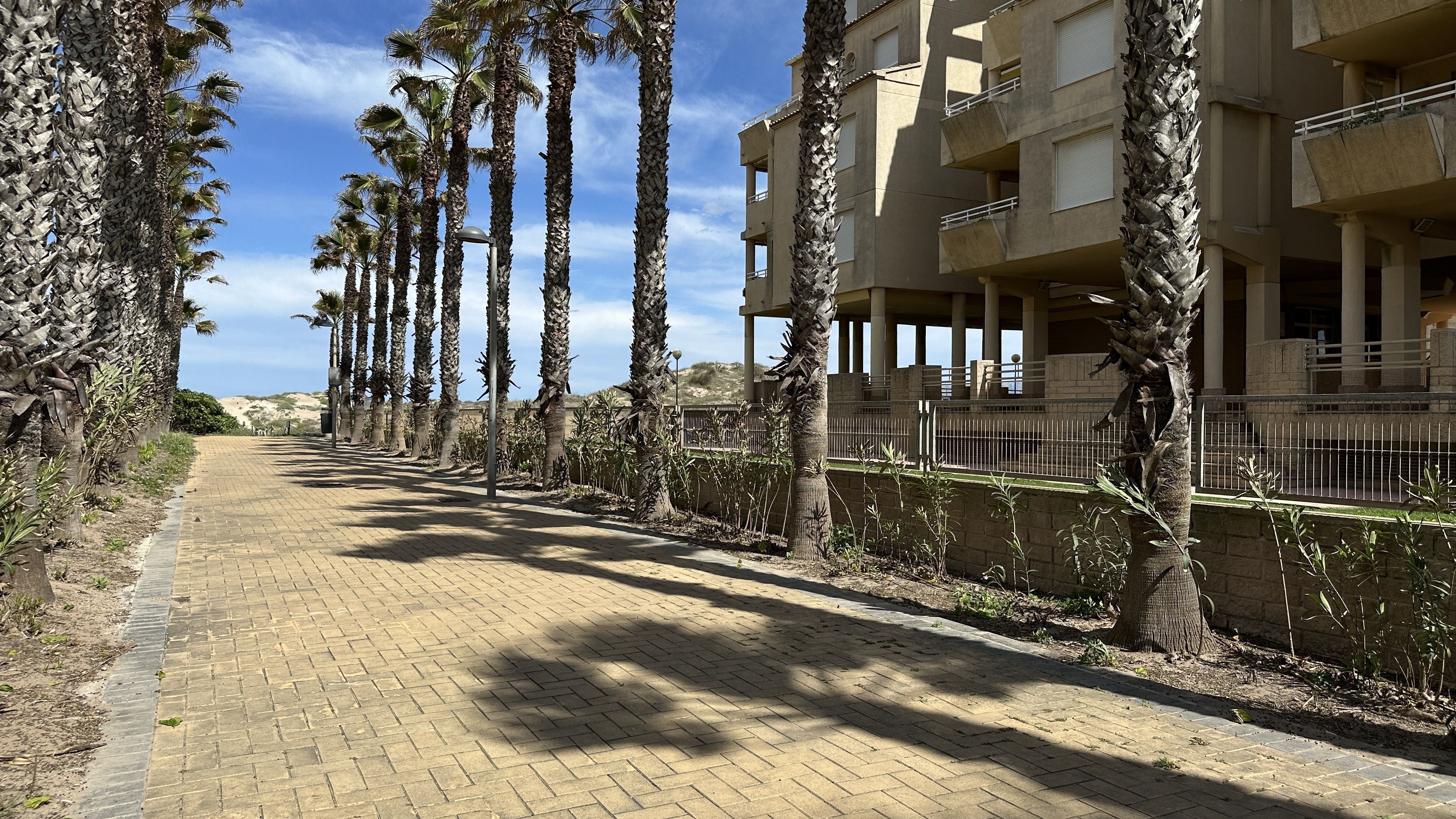 Google Drive Photo
