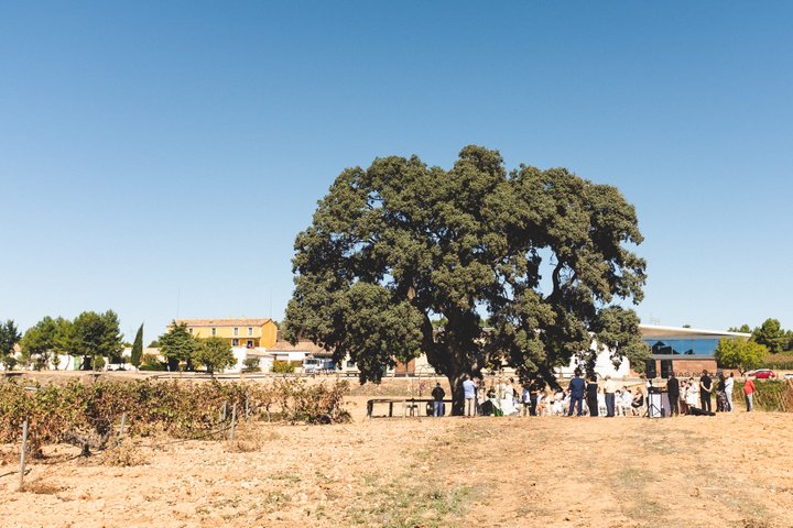 Bodegas Nodus