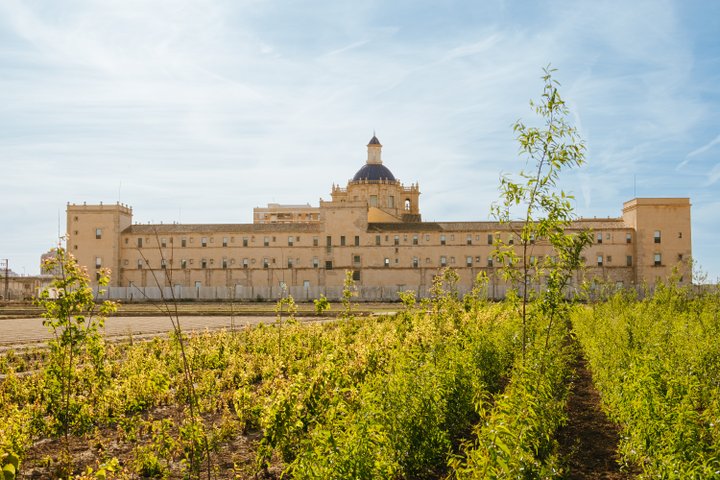 MONASTERIO SAN MIGUEL DE LOS REYES