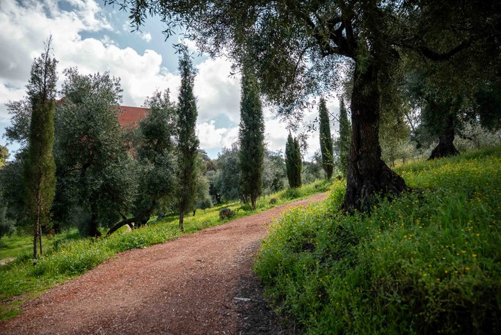 LA ALMAZARA - FINCA RURAL