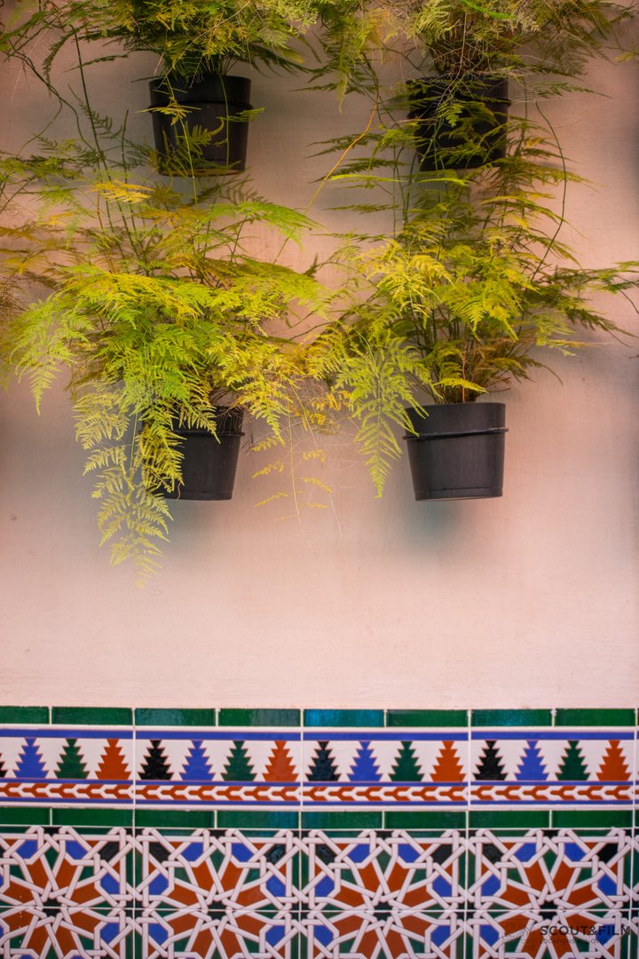 RESTAURANTE EL PATIO DEL PALI - SEVILLA
