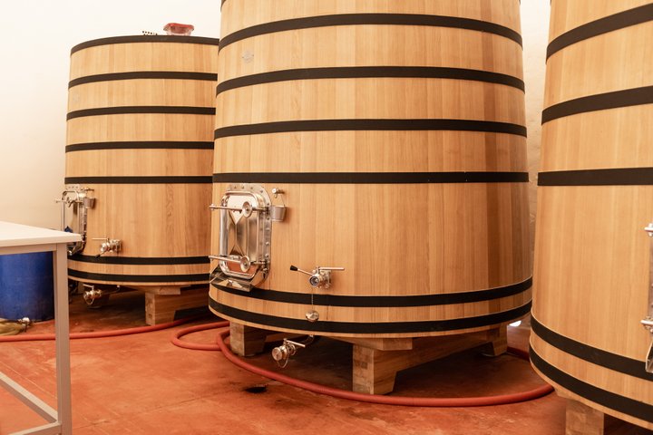 Bodegas Nodus