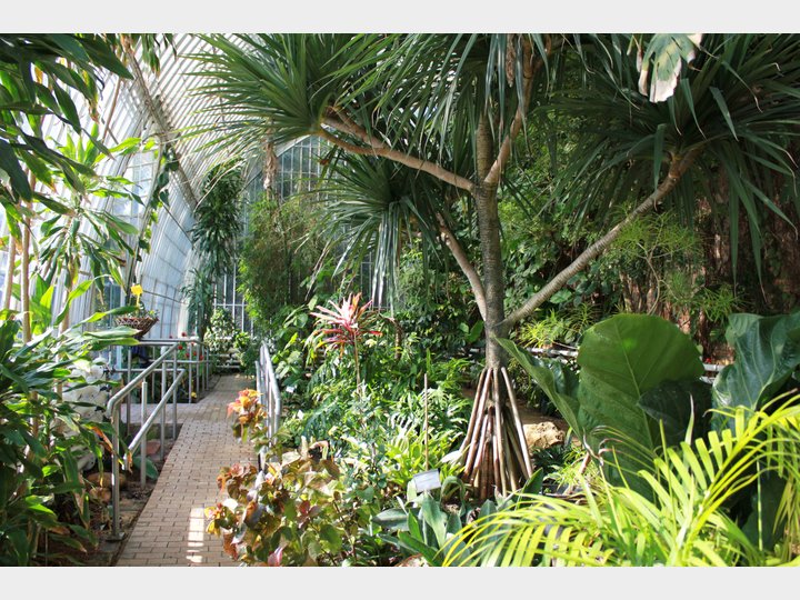 JARDÍN BOTÁNICO