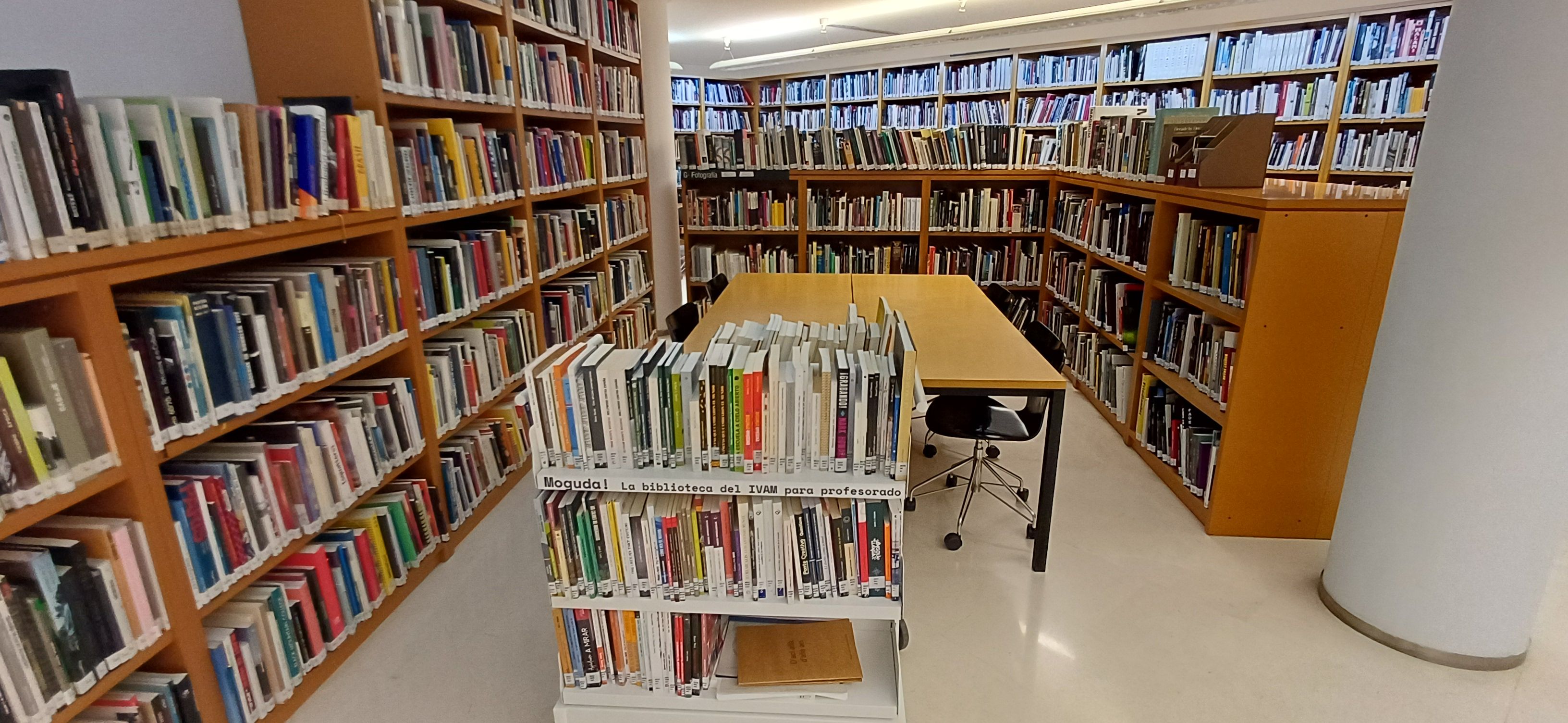 IVAM Biblioteca
