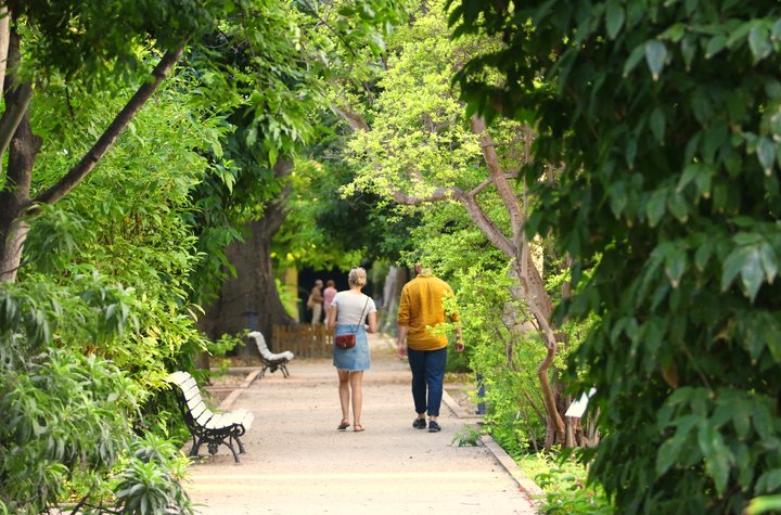 JARDÍN BOTÁNICO