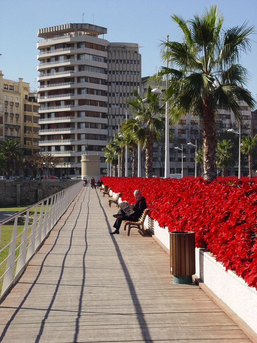 Puente de las flores.