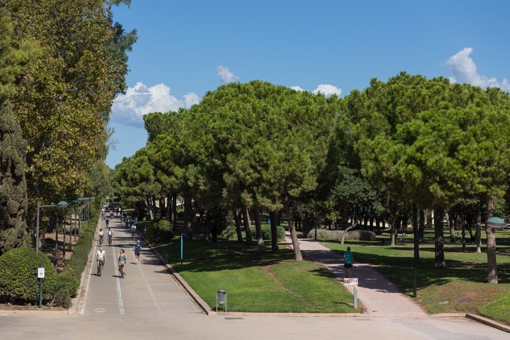 JARDINES DEL TURIA