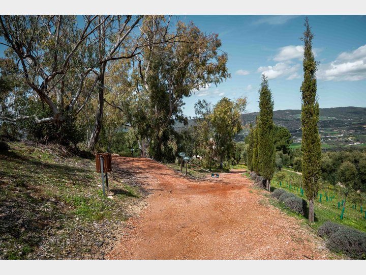 LA ALMAZARA - FINCA RURAL