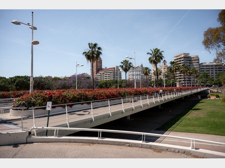 Puente de las flores.