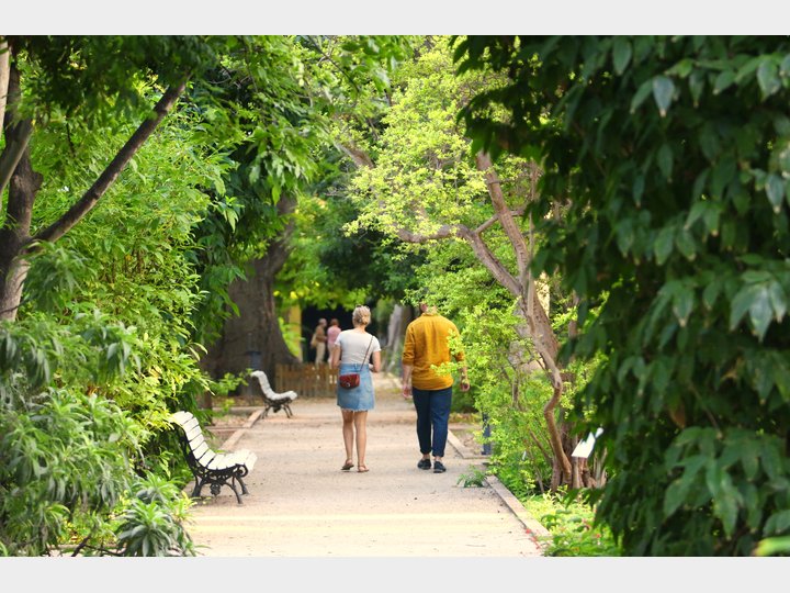 JARDÍN BOTÁNICO