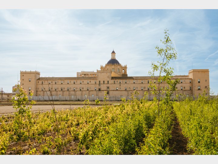 MONASTERIO SAN MIGUEL DE LOS REYES