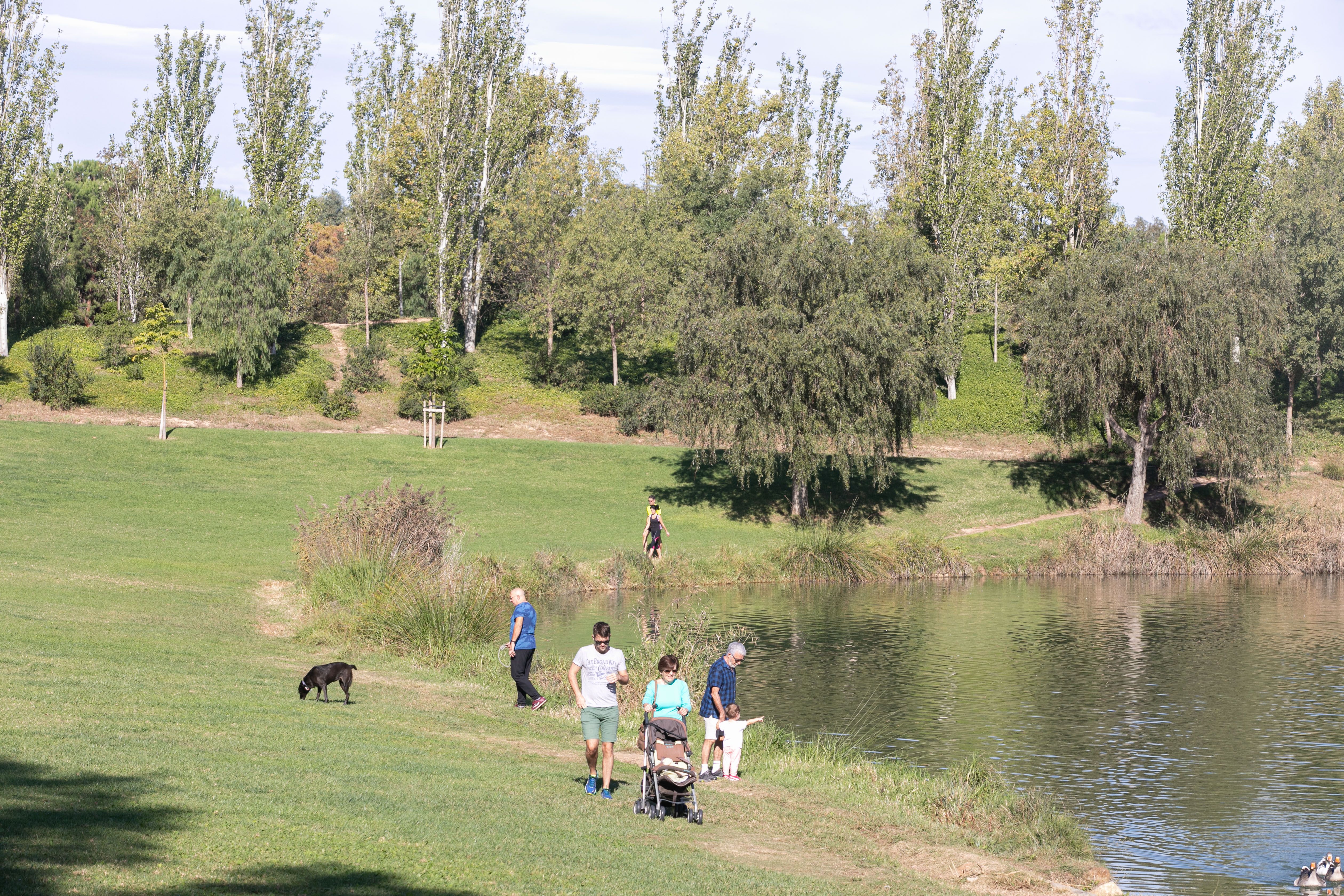 PARQUE DE CABECERA