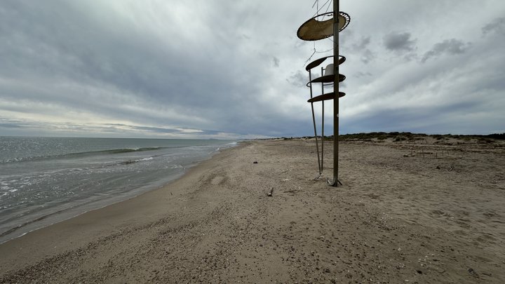 Google Drive Photo