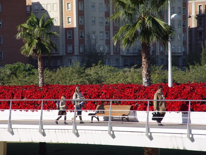 Puente de las flores.