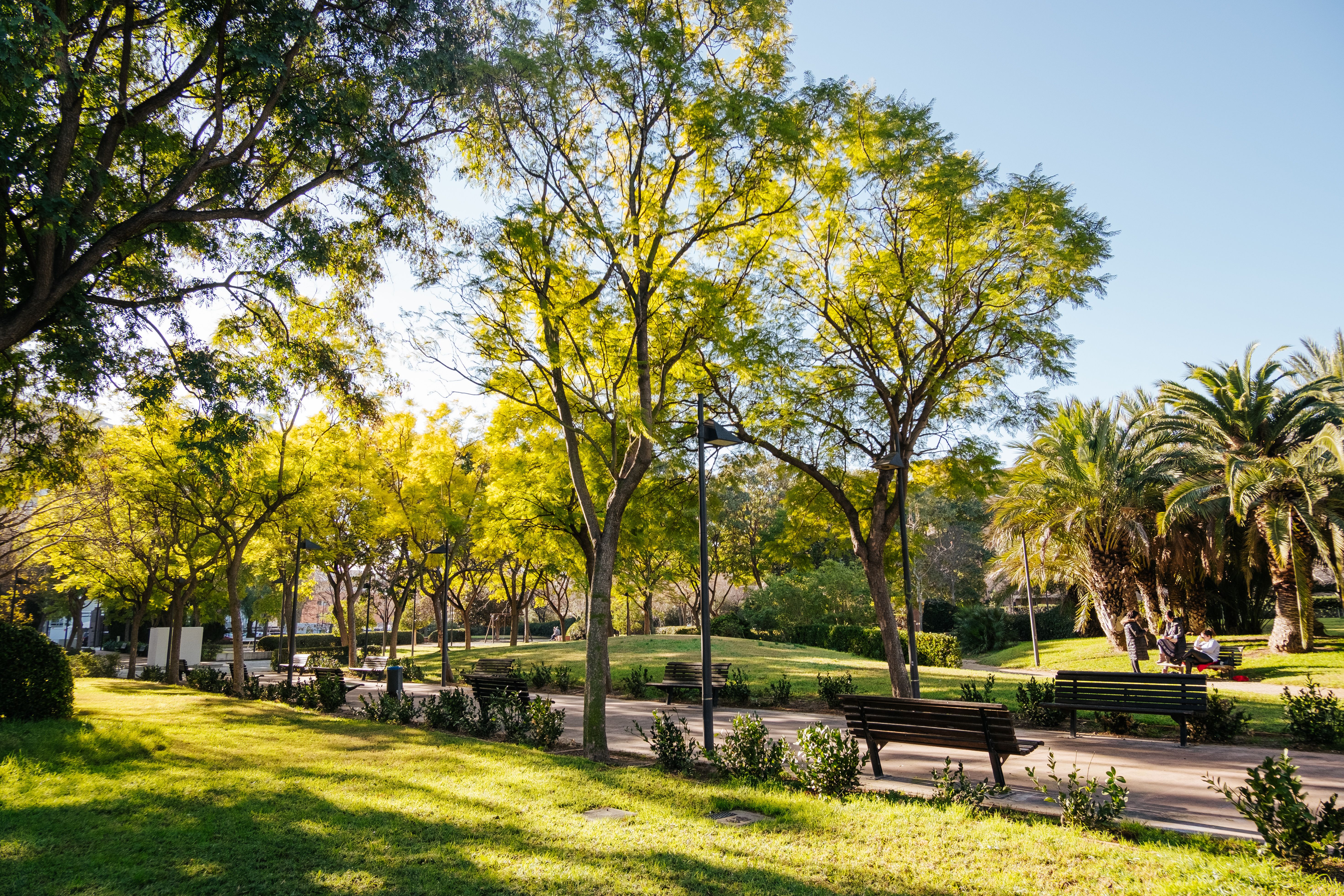JARDÍN DE POLÍFILO. CAMPANAR