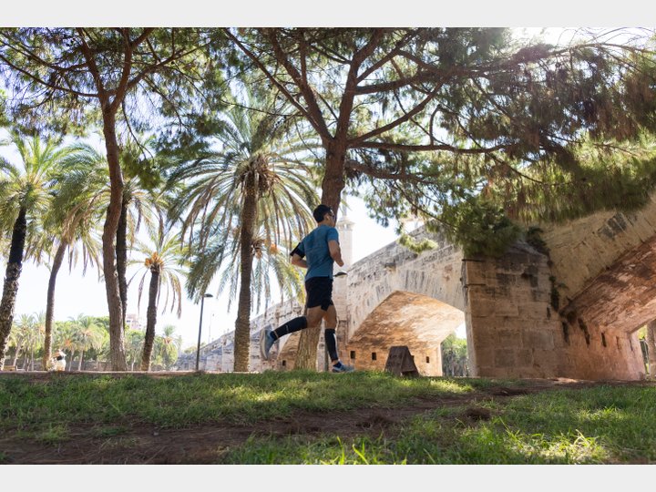 JARDINES DEL TURIA