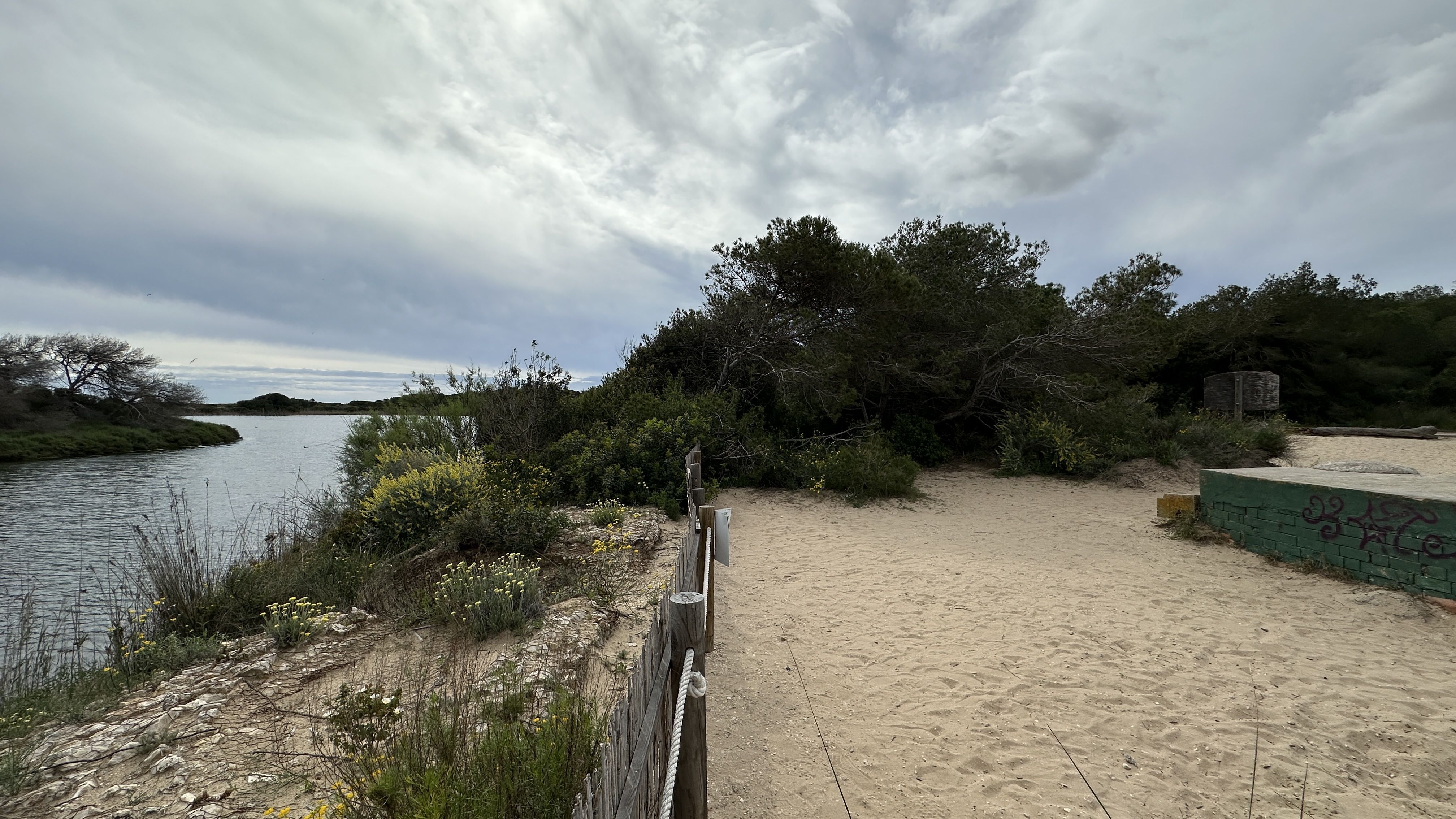 Google Drive Photo