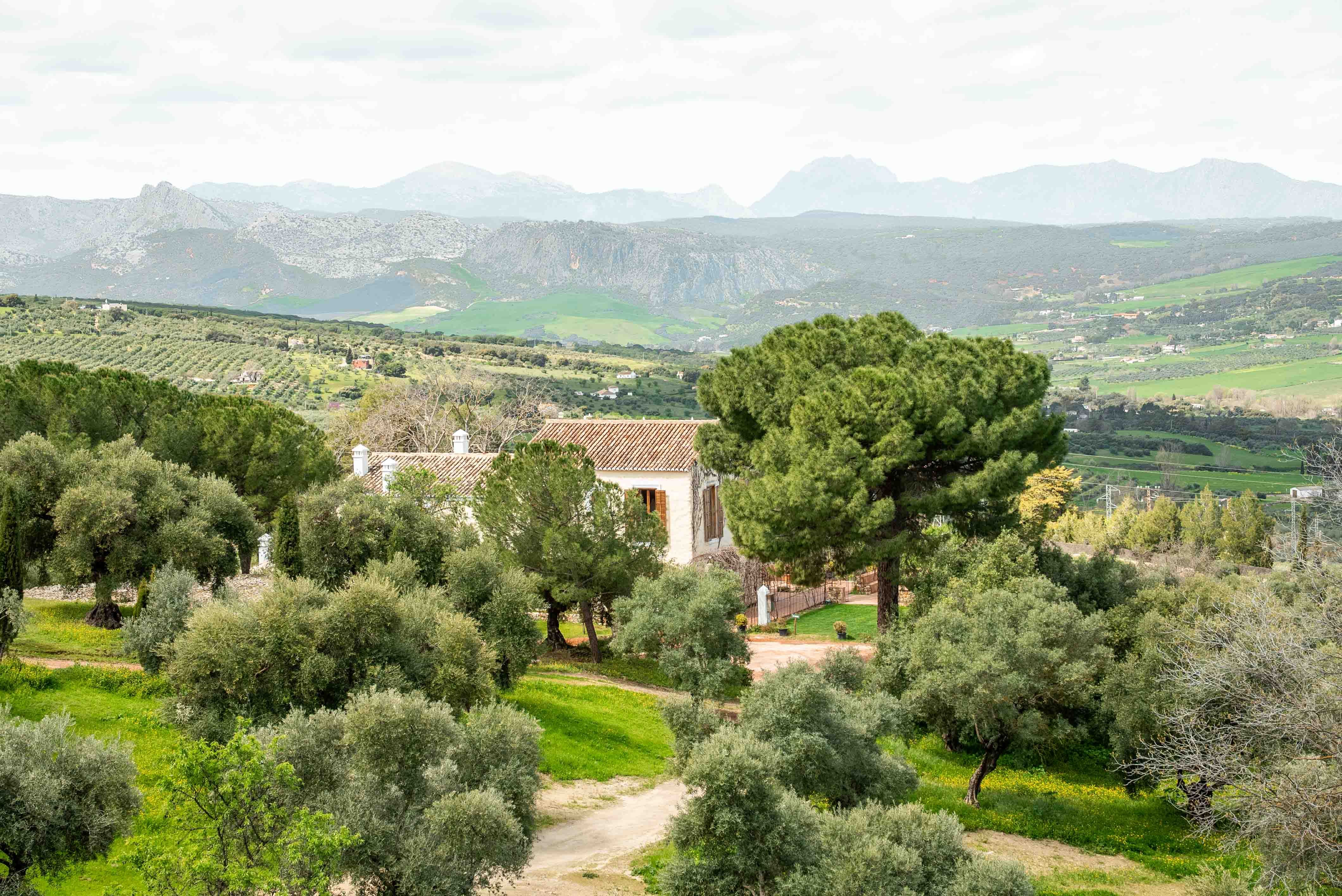 LA ALMAZARA - FINCA RURAL