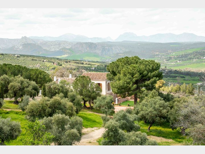 LA ALMAZARA - FINCA RURAL