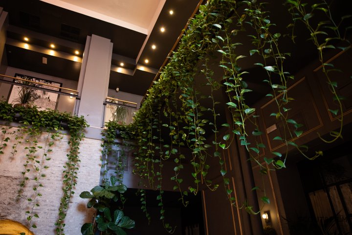 HOTEL LOS SEISES - SEVILLA