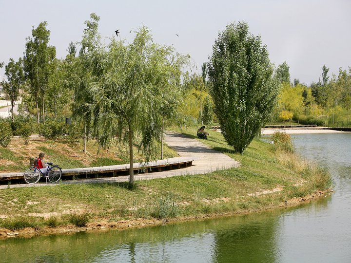 PARQUE DE CABECERA