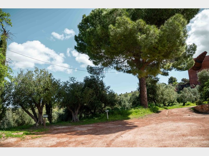 LA ALMAZARA - FINCA RURAL