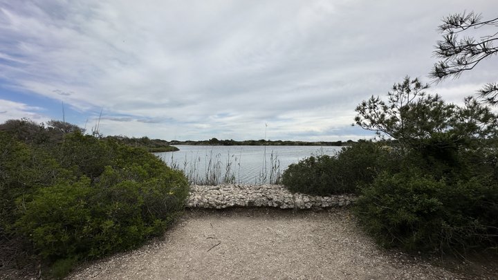 Google Drive Photo