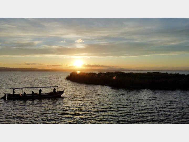 Google Drive Photo