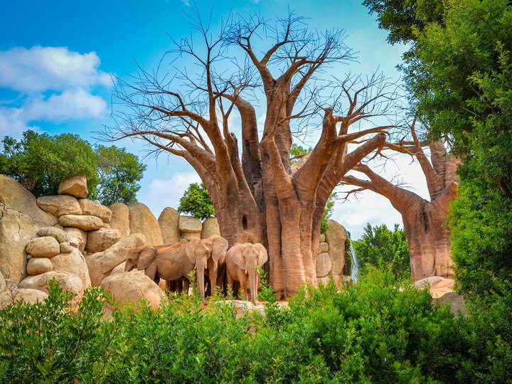 BIOPARC