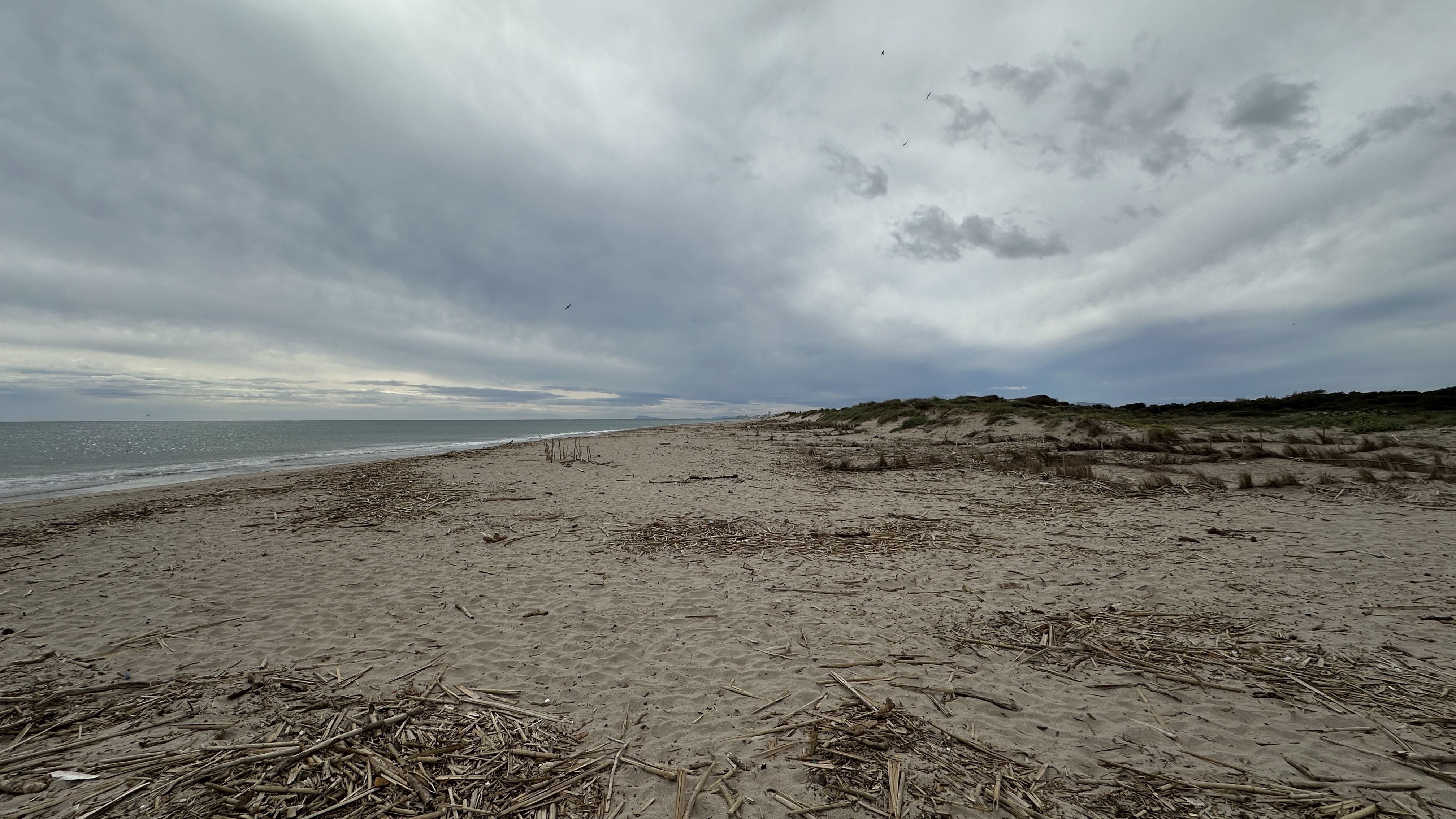 Google Drive Photo