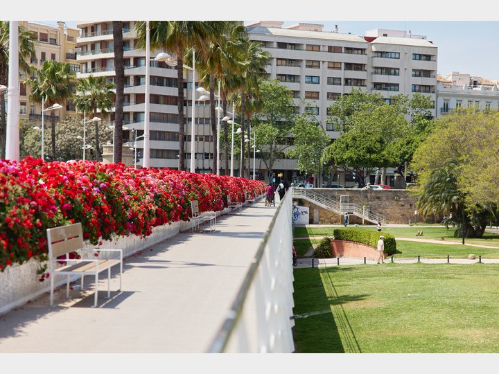 Puente de las flores.