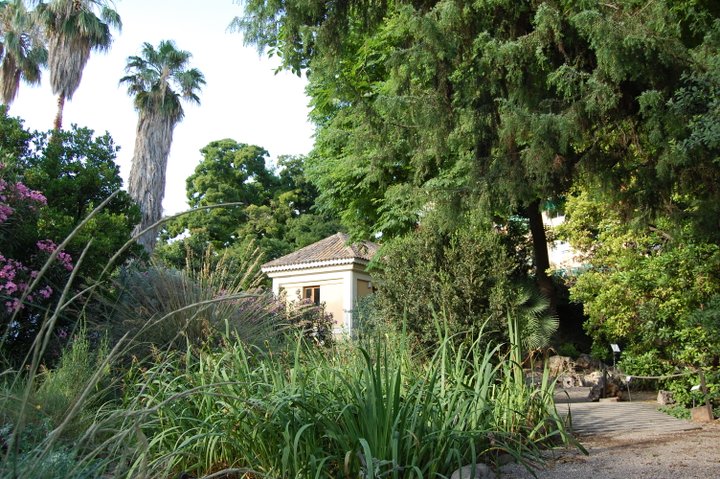 JARDÍN BOTÁNICO