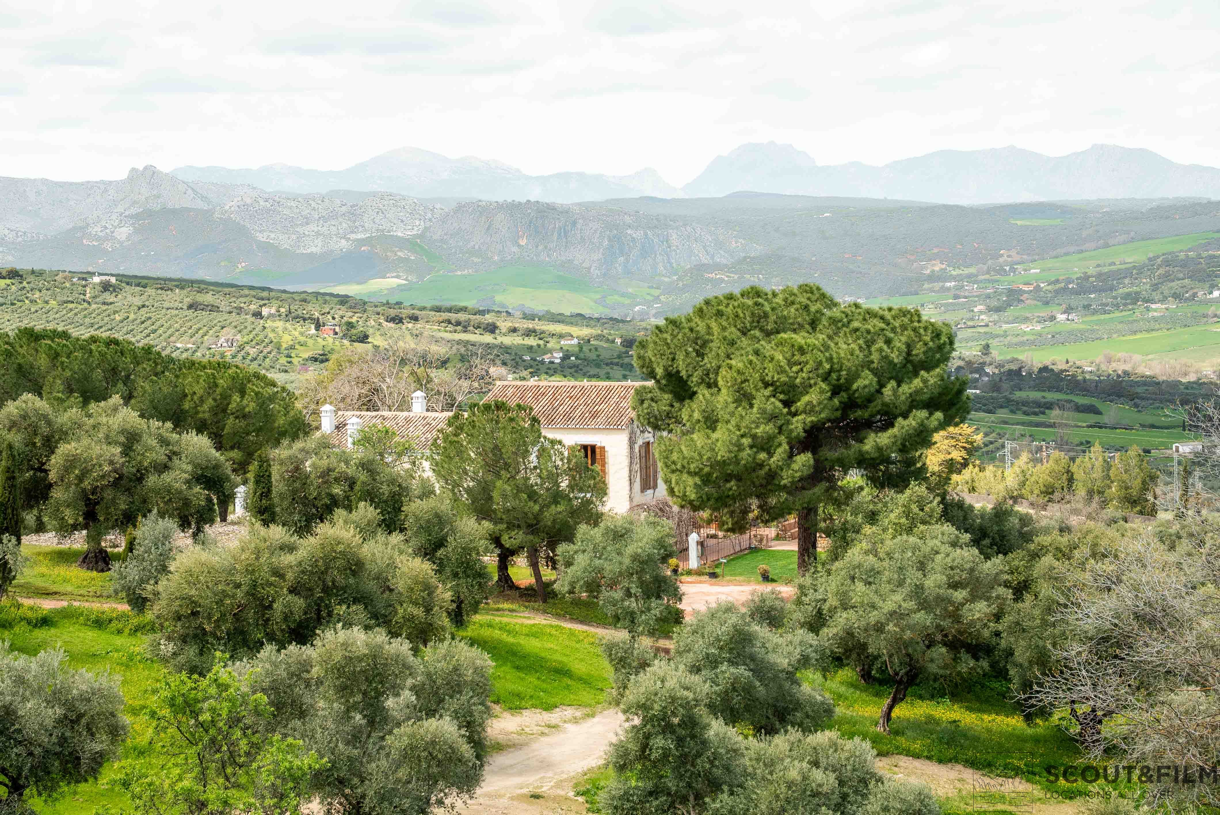 LA ALMAZARA - FINCA RURAL