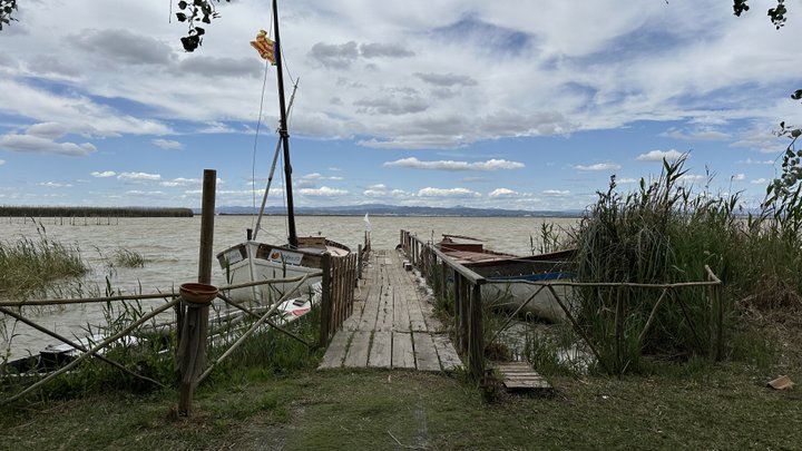 Google Drive Photo