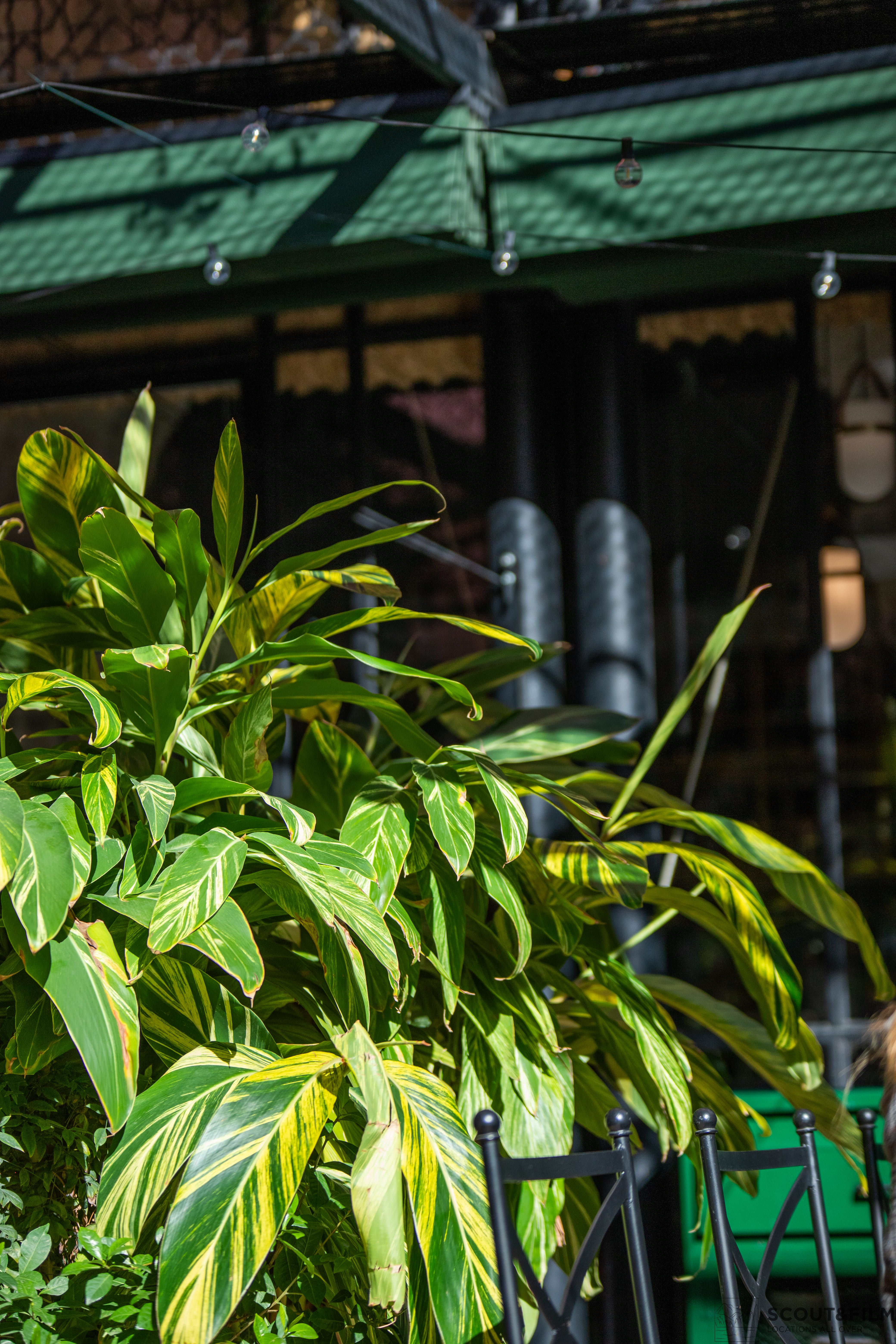 RESTAURANTE EL PATIO DEL PALI - SEVILLA