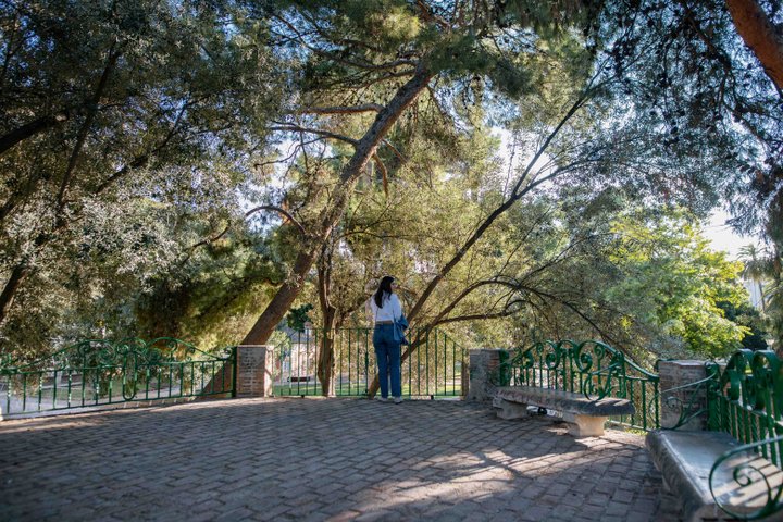JARDINES DEL REAL/VIVEROS