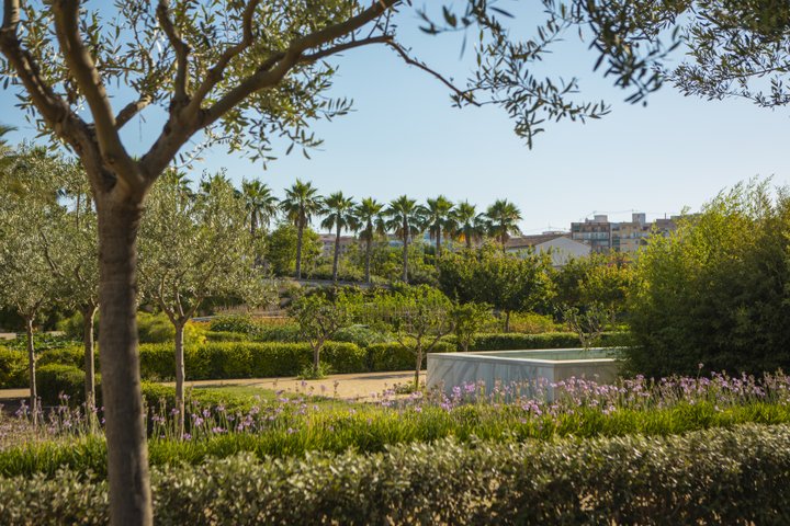 PARQUE CENTRAL.