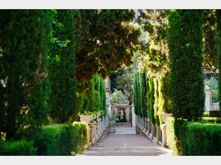 JARDINES DE MONFORTE.