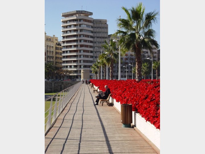 Puente de las flores.