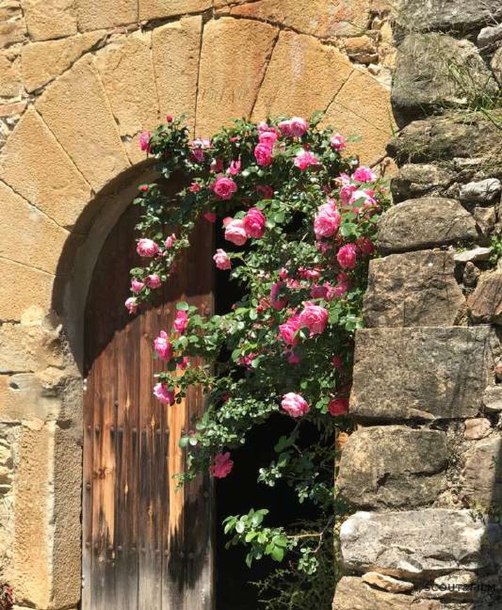 MASÍA MAS TORRENT - GERONA