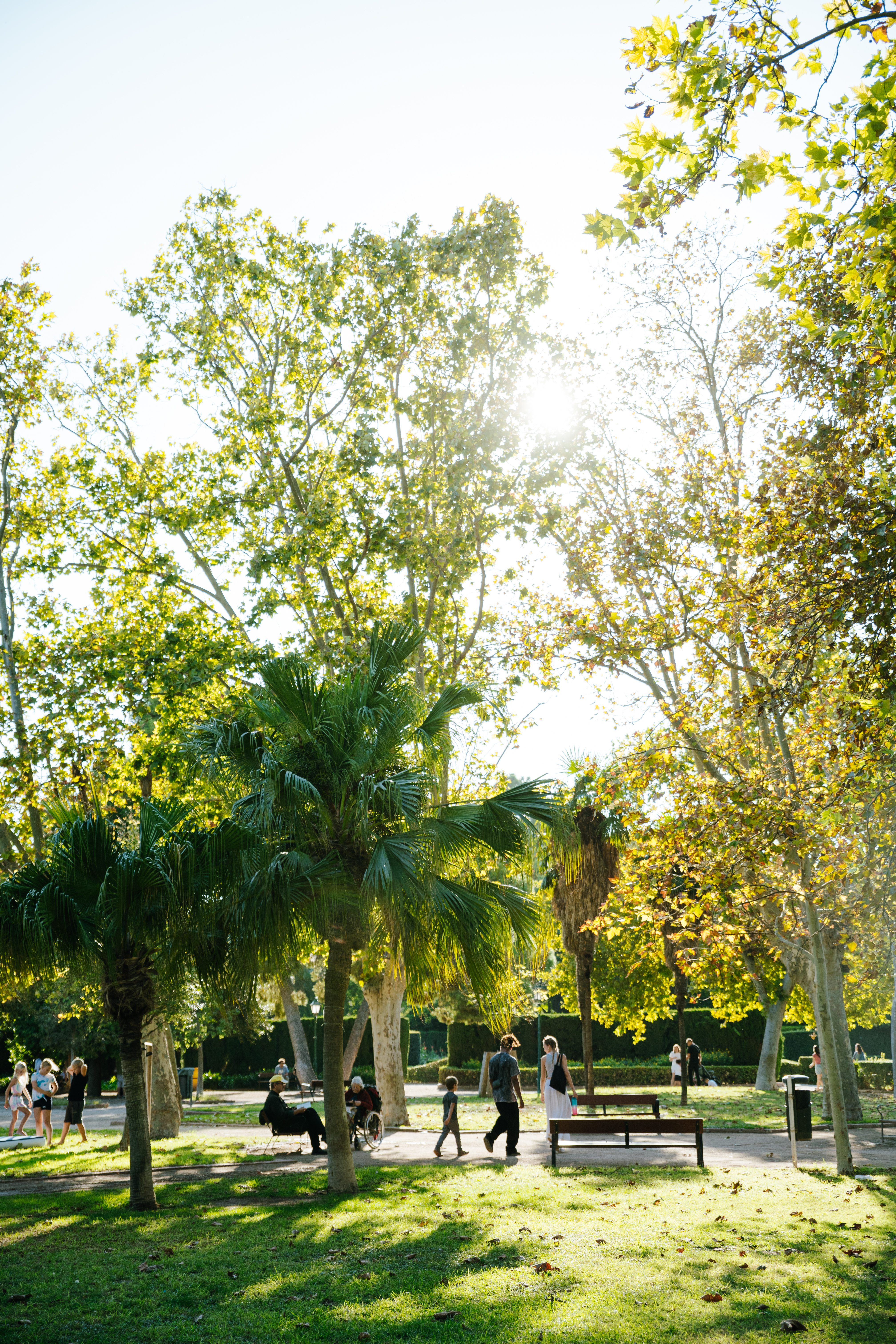 JARDINES DEL REAL/VIVEROS