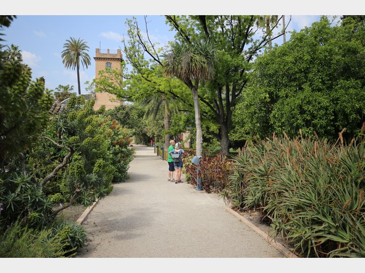 JARDÍN BOTÁNICO