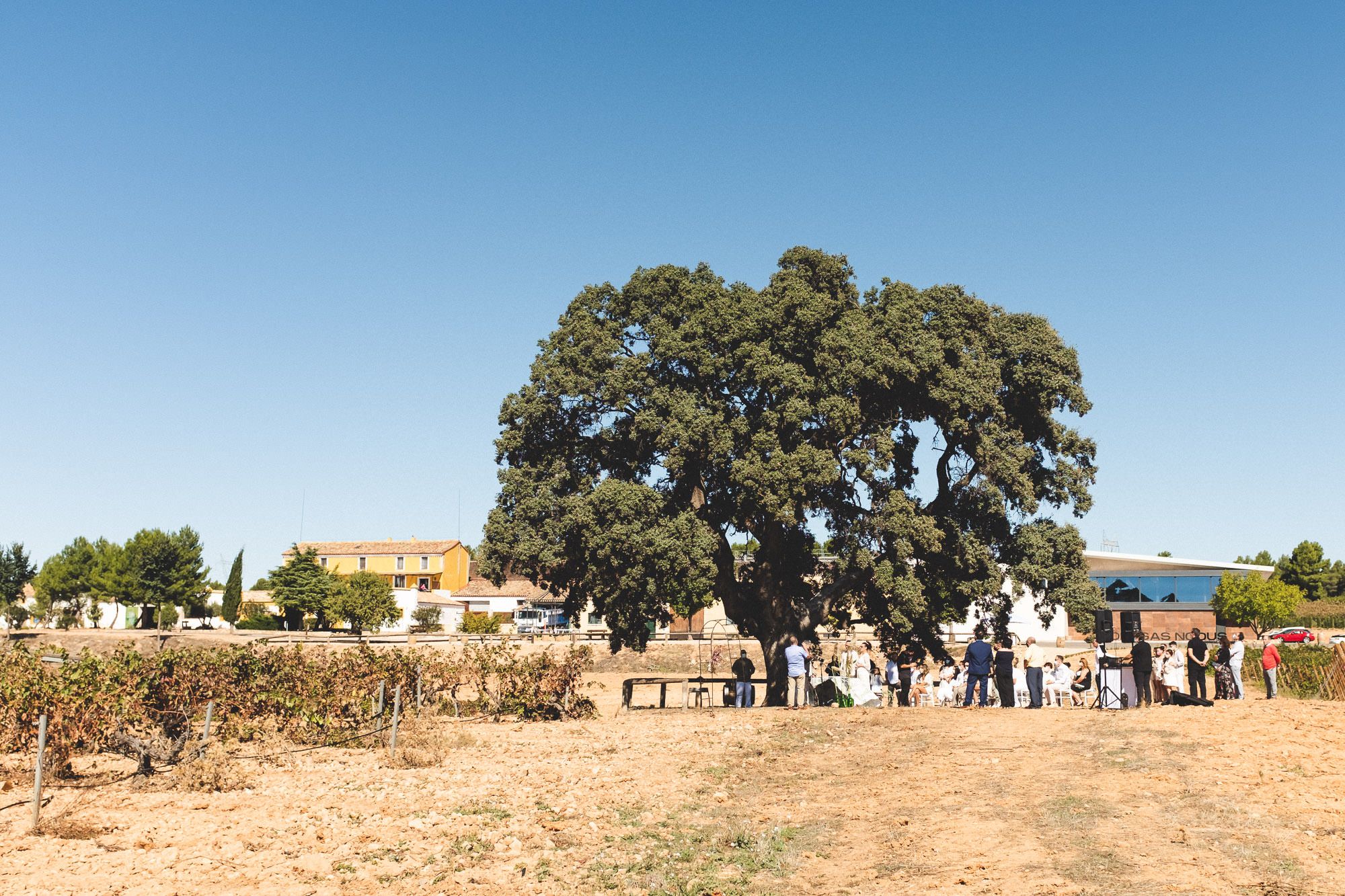 Bodegas Nodus