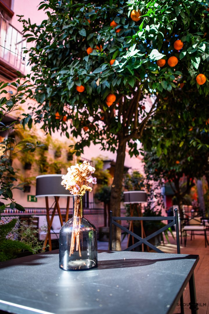 RESTAURANTE EL PATIO DEL PALI - SEVILLA