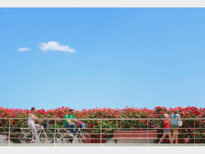 Puente de las flores.
